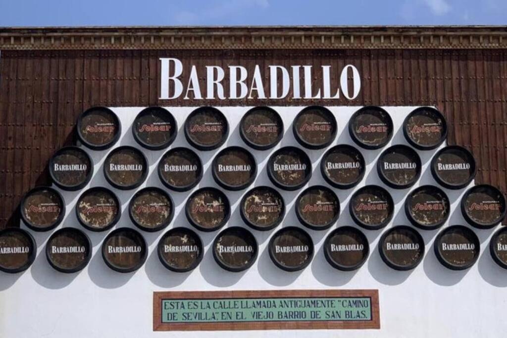 Loft En Casa Palacio Mergelina Parking Gratis Sanlúcar de Barrameda Eksteriør bilde